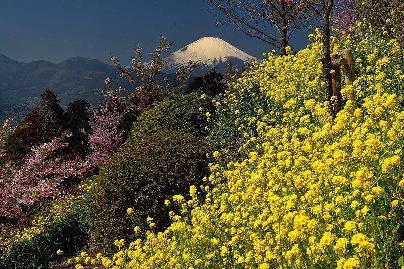 Hakone Pacific Exterior foto